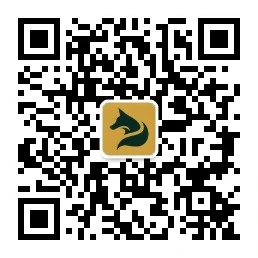 微信搜一搜 开源工具铺